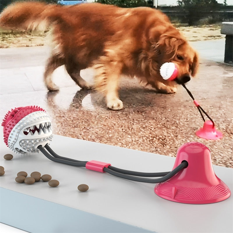 balle-pour-chien-jouet-chien-anti-stress