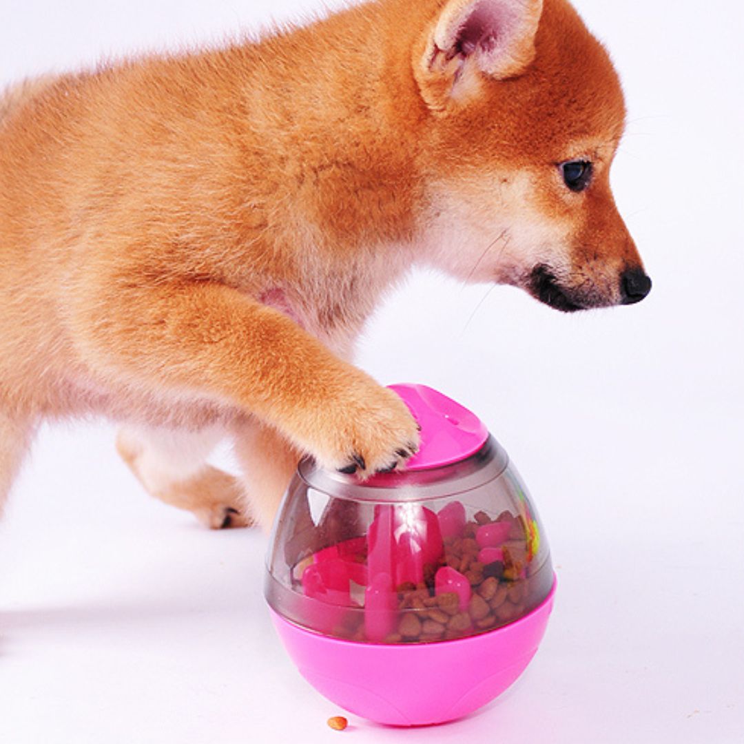 jouet-chien-interactif-rose