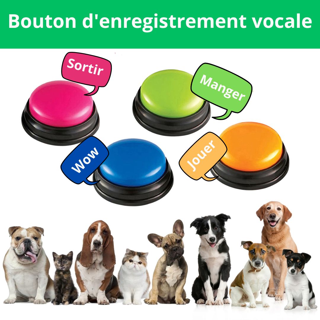 4pcs bouton parlant enregistrable chien jouet interactif bouton