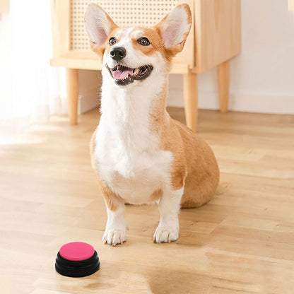 jouet-pour-chien-anti-stress