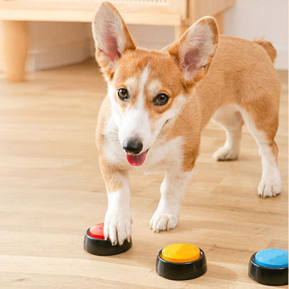 jouet-pour-chien-anti-stress