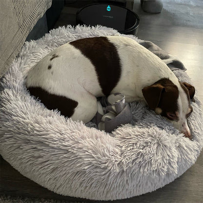 coussin-pour-chien-moyen-gris