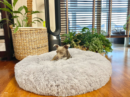 coussin-pour-chien-xxl-gris
