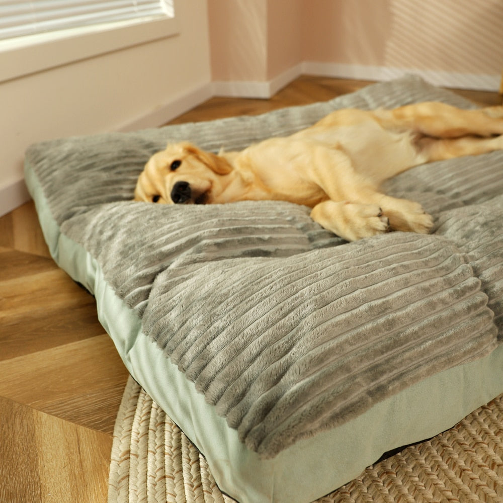 coussin-chien-xxl-apaisant-moelleux