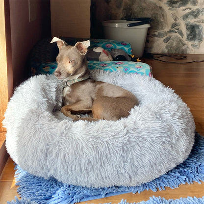 coussin-pour-chien-gris-apaisant