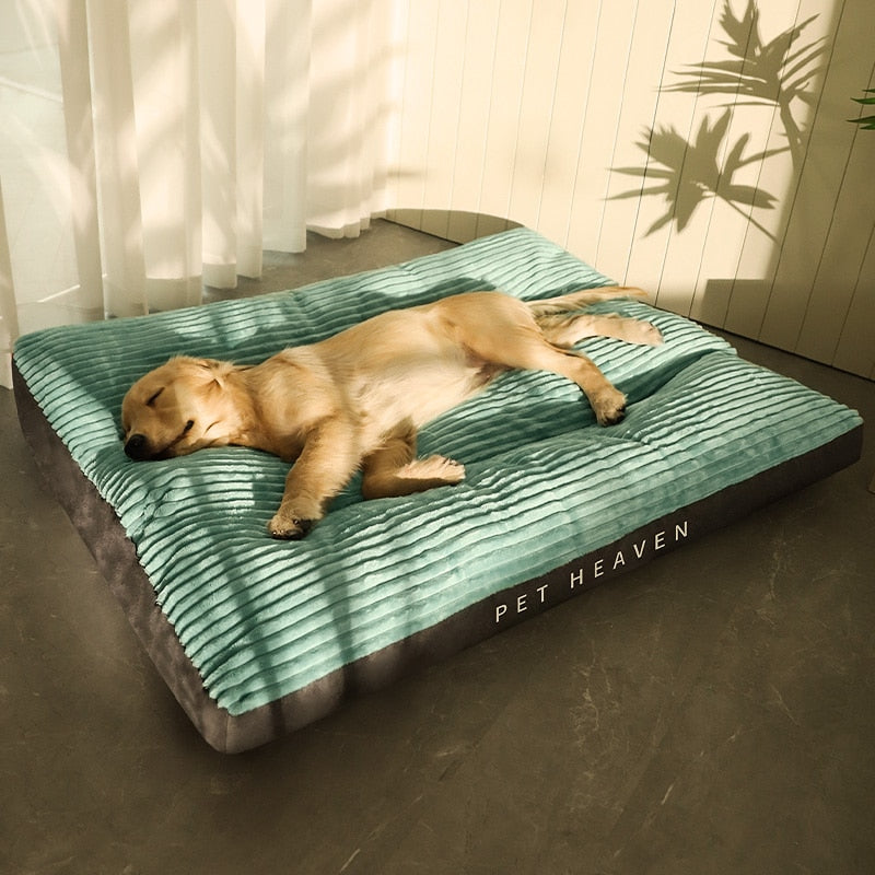 coussin-chien-XXL-apaisant