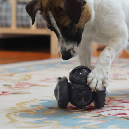 distributeur-croquette-chien-interactif-anti-glouton