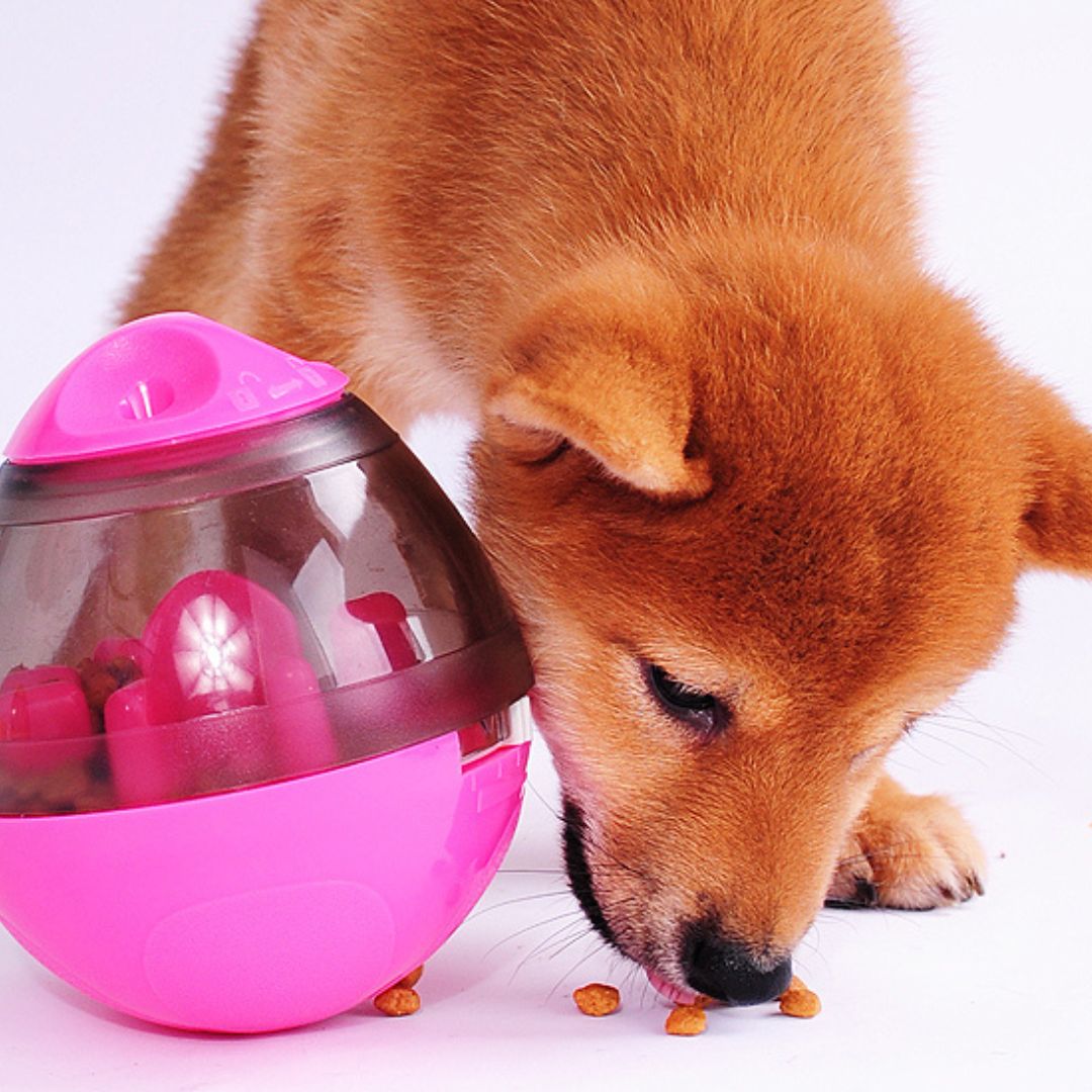 jouet-chien-interactif-rose