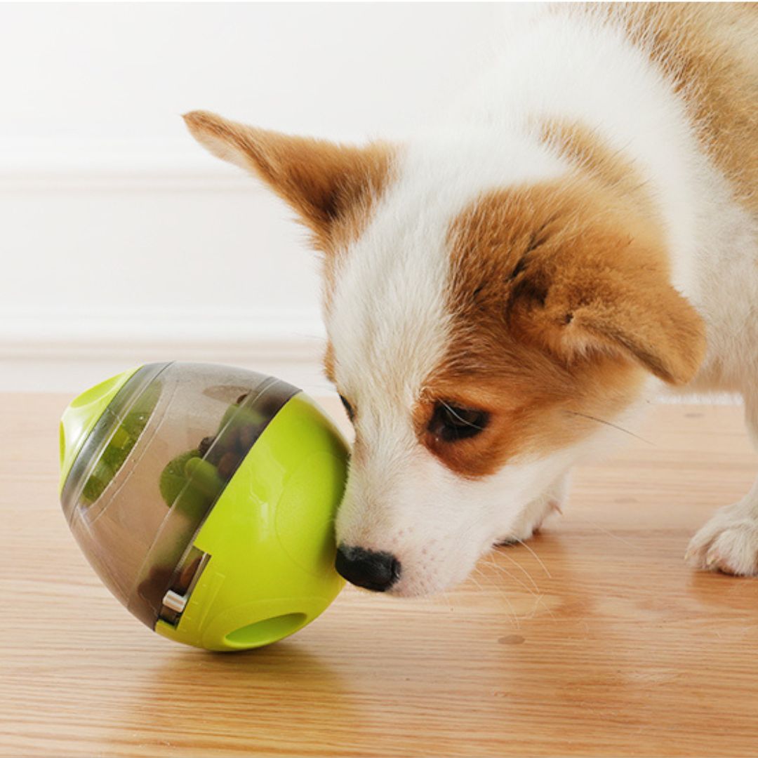 jouet-chien-interactif-jaune