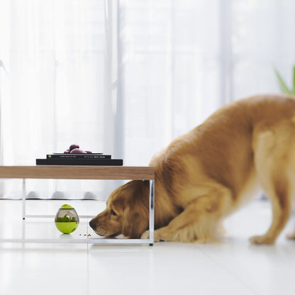 jouet-chien-interactif-amusant