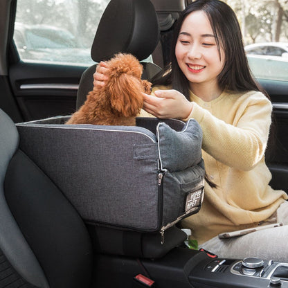 siege-auto-chien-gris-protection